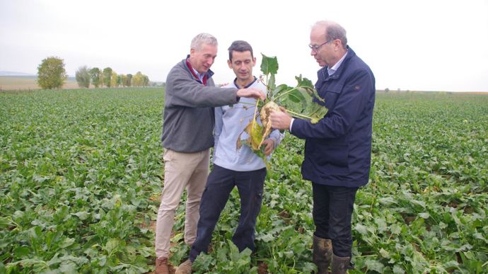 Damien Blondel, au centre, entre Stanislas Bouchard, DG de Cristal Union (à g.) et Bruno Labilloy, directeur agricole, a implanté cette année à Ludes, dans la Marne, 11 ha de betterave bio pour le groupe coopératif sucrier. © C. URVOY